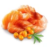 SHELMA Kitten with lašiša in sauce – šlapias kačių maistas – 85g