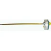 Termostatas RTS 20A R300