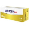 VETFOOD Amylactiv Max – papildai šunims ir katėms – 120 vnt.
