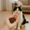 Kačių Maistas - WIEJSKA ZAGRODA Monoproteinas Su Jautiena 43% Baltymų 800g