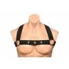 XR Brands Chest Harness &amp; Armbands Juodas Stretch Adjustable Set