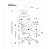 Halmar Biuro kėdė ASTRAL Juoda