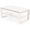 BETTY lifting top coffee table, color: baltas