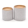 Fotelis AVIKO set of two color: light pilkas
