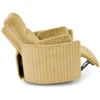 Fotelis PEGAS leisure chair, mustard