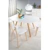 RUBEN ext. table