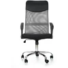 VIRE chair color: pilkas