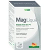 Agetis Supplements MAGLIQUID 815 mg su mango ir apelsinų skonio paketėliais N20