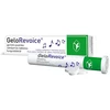 GELOREVOICE juodųjų serbentų-mentolio kietosios pastilės N20