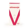 MEDPRO Echinacea 500 mg kapsulės N60