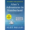 KNYGA Alex Bellos Alex's Adventures in Numberland, Tenth Anniversary Edition