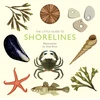 KNYGA Alison Davies Little Guide to Shorelines