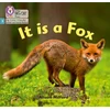 KNYGA Alison Milford It is a Fox