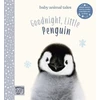 KNYGA Amanda Wood Goodnight, Little Penguin