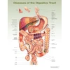 KNYGA Diseases of the Digestive Tract Anatomical Chart