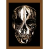 KNYGA Andrew Bolton Alexander McQueen