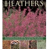 KNYGA Andrew Mikolajski Heathers