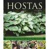 KNYGA Andrew Mikolajski Hostas