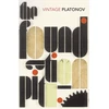 KNYGA Andrey Platonov Foundation Pit