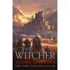 KNYGA Andrzej Sapkowski Blood of Elves