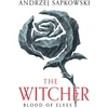 KNYGA Andrzej Sapkowski Sapkowski Andrzej Blood of Elves: The bestselling novel which inspired season 2 of Netflix’s The Witcher