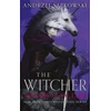 KNYGA Andrzej Sapkowski Lady of the Lake, Collector's Hardback Edition: Book 7