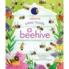 KNYGA Anna Milbourne Peep Inside a Beehive