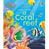 KNYGA Anna Milbourne Peep inside a Coral Reef