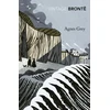 KNYGA Anne Bront Agnes Gray