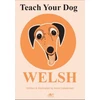 KNYGA Anne Cakebread Teach Your Dog Welsh