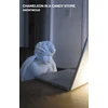 KNYGA Anonymous Chameleon in a Candy Store