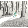 KNYGA Anthony Browne Into the Forest