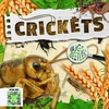 KNYGA Anthony William Crickets