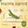 KNYGA Anthony William Praying Mantis