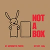 KNYGA Antoinette Portis Not A Box
