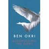 KNYGA Ben Okri Astonishing the Gods