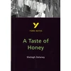 KNYGA Bernadette Dyer Taste of Honey York Notes GCSE English Literature Study Guide - for 2026, 2027 exams
