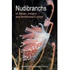 KNYGA Bernard Picton Nudibranchs of Britain, Ireland and Northwest Europe
