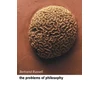 KNYGA Bertrand Russell Problems of Philosophy