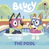 KNYGA Bluey: The Pool