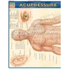 KNYGA Vincent Perez Acupressure
