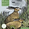 KNYGA Bookshop Adult Sustainable Jigsaw Puzzle Angela Harding: Rathlin Hares