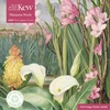 KNYGA Bookshop Adult Sustainable Jigsaw Puzzle Kew Gardens: Marianne North: Beauties of the Swamps at Tulbagh