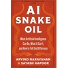 KNYGA Bookshop AI Snake Oil
