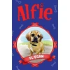 KNYGA Bookshop Alfie