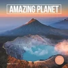 KNYGA Bookshop Amazing Planet Square Wall Calendar 2026