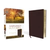 KNYGA Bookshop Amplified Holy Bible, Bonded Leather, Burgundy