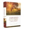 KNYGA Bookshop Zondervan Amplified Holy Bible, Large Print, Hardcover