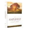 KNYGA Bookshop Amplified Study Bible, Hardcover