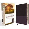 KNYGA Bookshop Amplified Study Bible, Leathersoft, Violetinė, Thumb Indexed